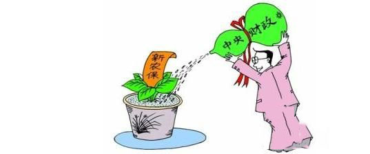 新農保怎么繳費？ 第1張