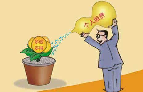 個人繳社保需要多少？應該如何繳納？ 第1張